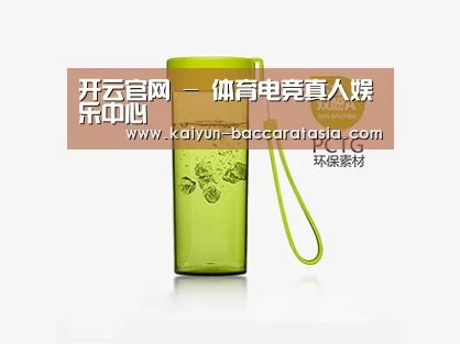 产品展示标题三