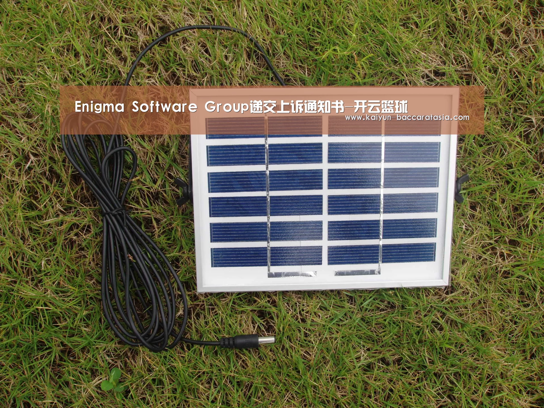 Enigma Software Group递交上诉通知书-开云篮球(图3) 开云赛事