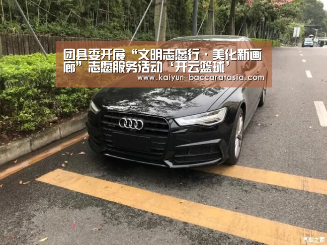 团县委开展“文明志愿行·美化新画廊”志愿服务活动‘开云篮球’(图1) 开云体育
