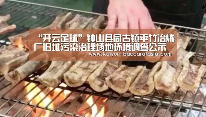 “开云足球”钟山县同古镇平竹冶炼厂旧址污染治理场地环境调查公示(图2) 开云体育