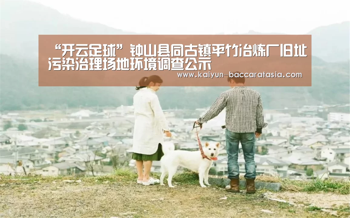 “开云足球”钟山县同古镇平竹冶炼厂旧址污染治理场地环境调查公示(图3) 开云足球